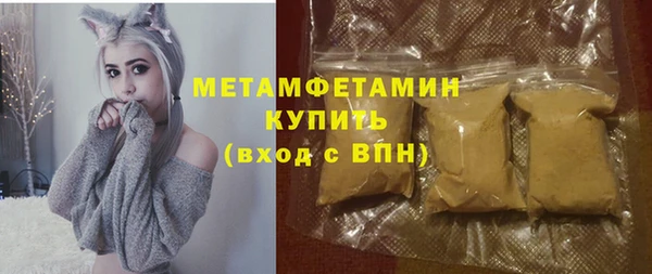 шишки Надым