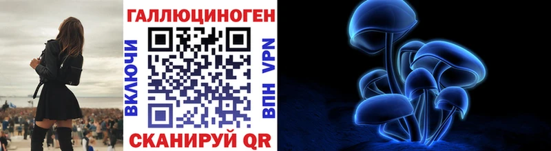 omg ТОР  что такое   Хабаровск  Галлюциногенные грибы ЛСД 