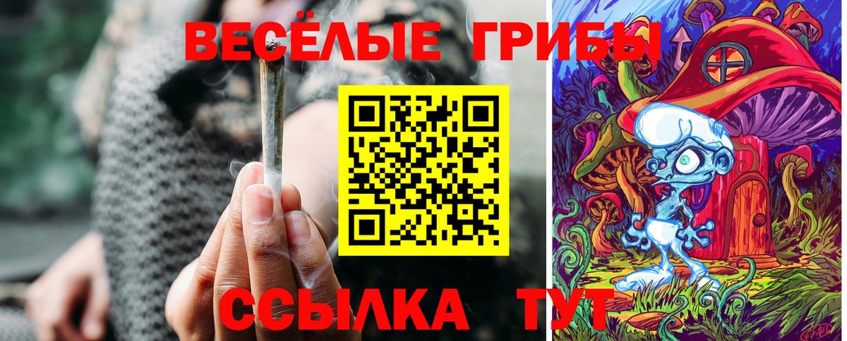 Галлюциногенные грибы ЛСД  купить закладку  Хабаровск  Псилоцибиновые грибы Magic Shrooms  Вход с VPN 